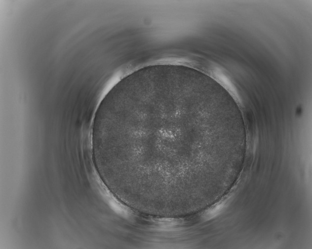 X0000090721436200707271143