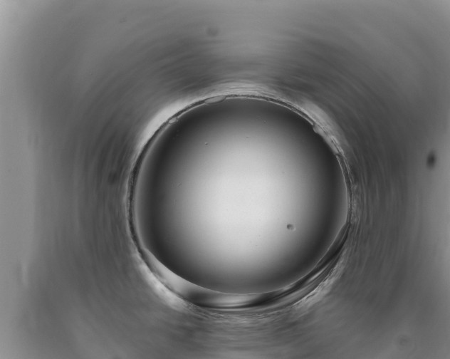 X0000090721438200707271143