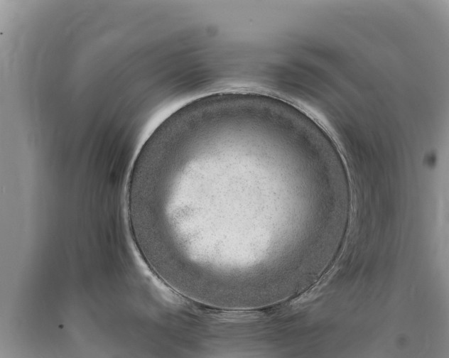 X0000090721440200707271143