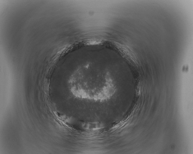 X0000090721441200707271142