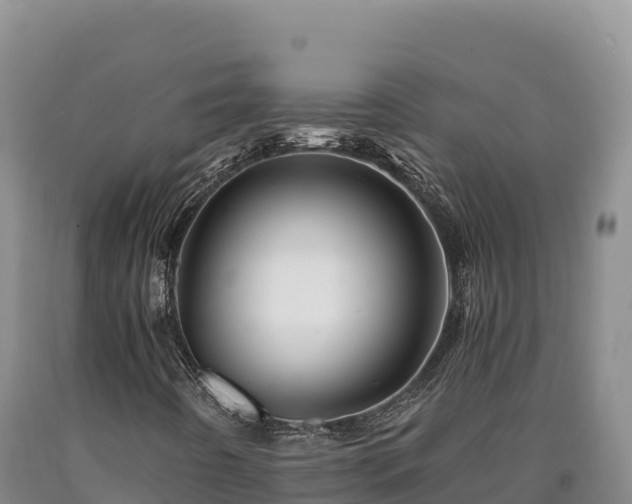 X0000090721442200707271142