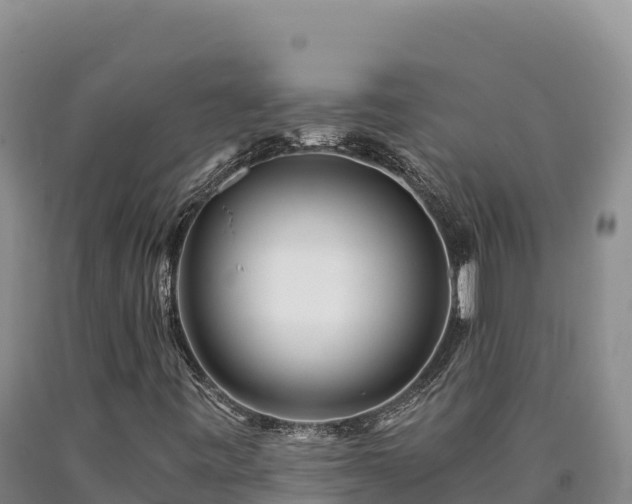 X0000090721443200707271142