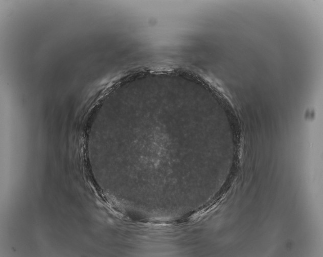 X0000090721445200707271142