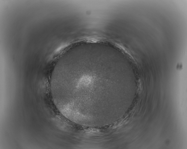 X0000090721446200707271142