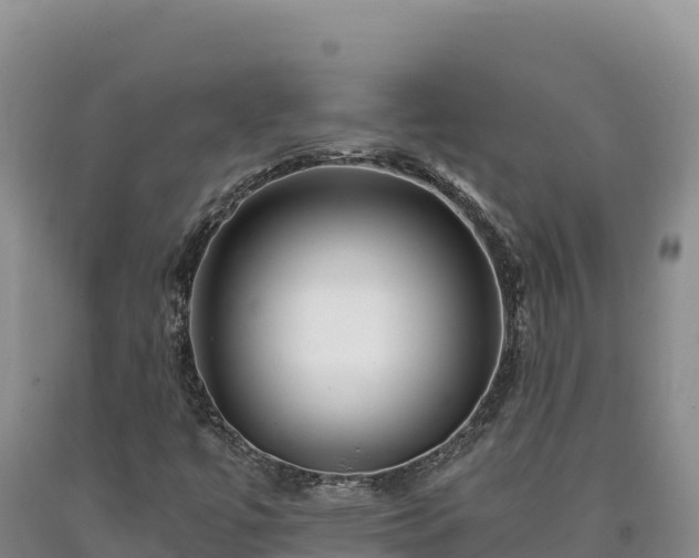 X0000090721447200707271142
