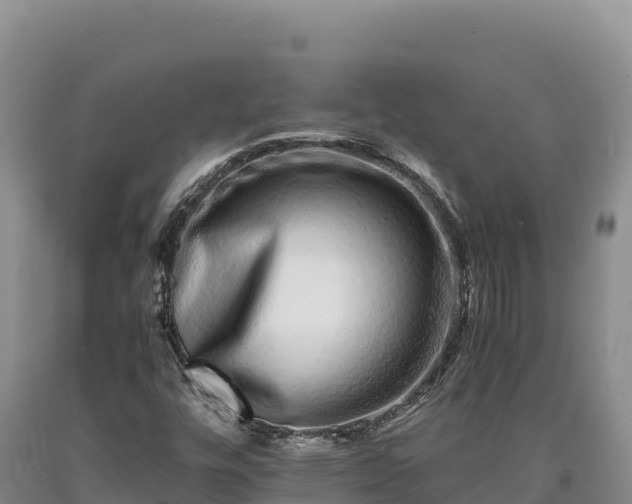 X0000090721448200707271142