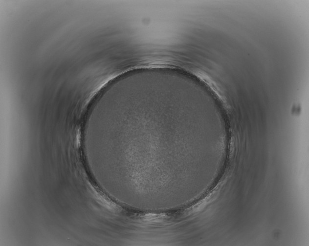 X0000090721449200707271142
