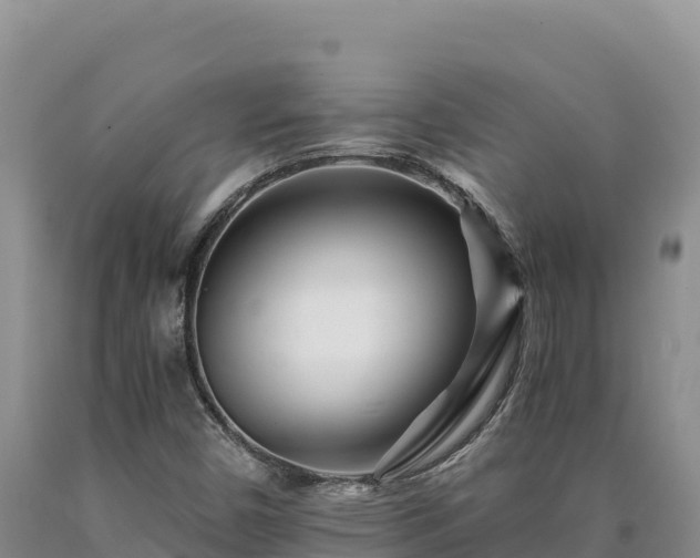 X0000090721450200707271142