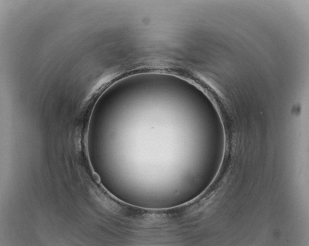 X0000090721451200707271142