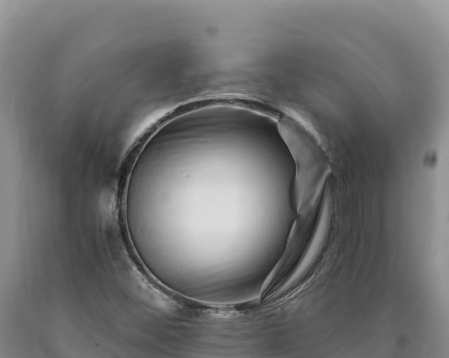 X0000090721452200707271142