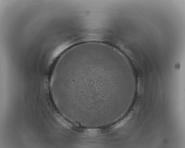 X0000090721453200707271142
