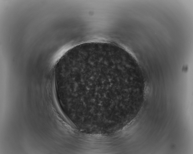 X0000090721455200707271142