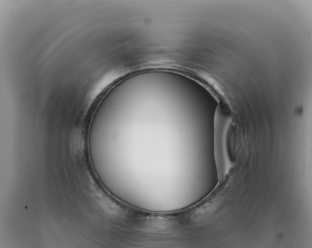 X0000090721458200707271142