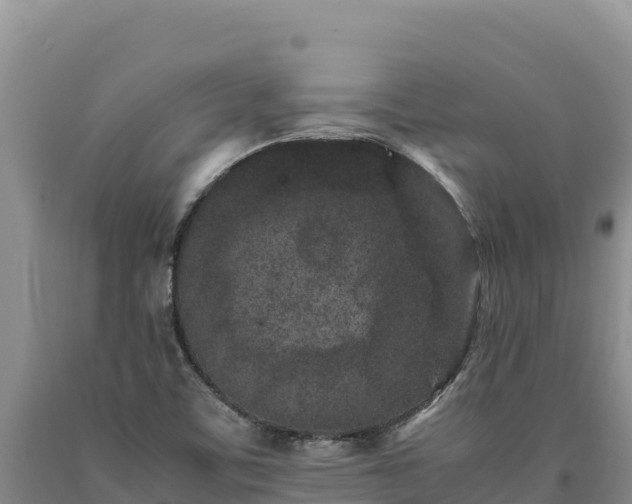 X0000090721459200707271142
