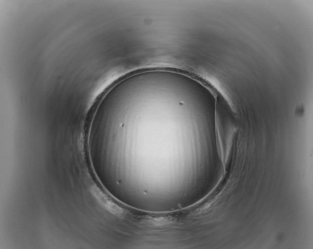 X0000090721460200707271142