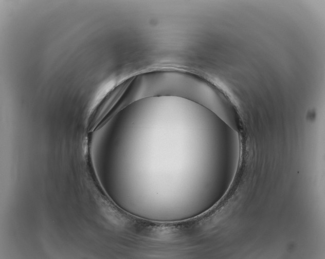 X0000090721461200707271142