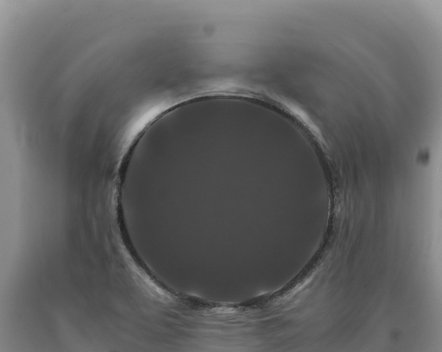 X0000090721463200707271142