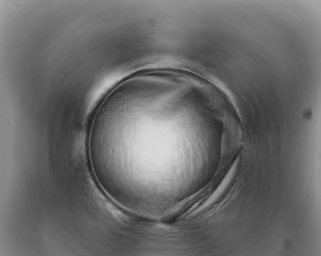X0000090721464200707271142