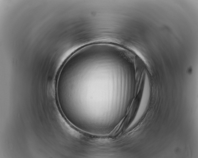 X0000090721468200707271142