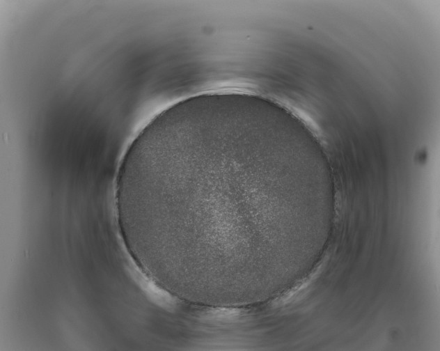 X0000090721470200707271142