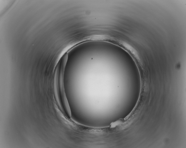 X0000090721473200707271142
