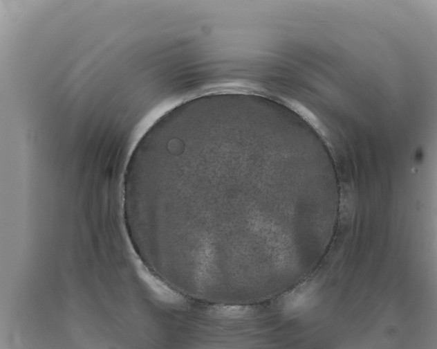 X0000090721474200707271142