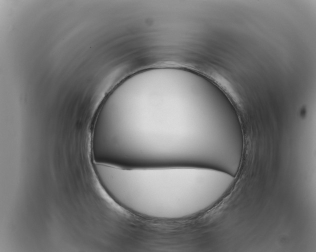 X0000090721476200707271142