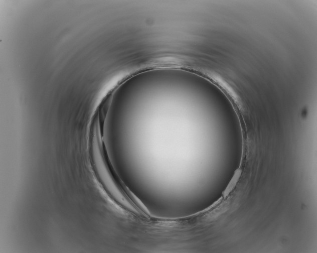 X0000090721477200707271142
