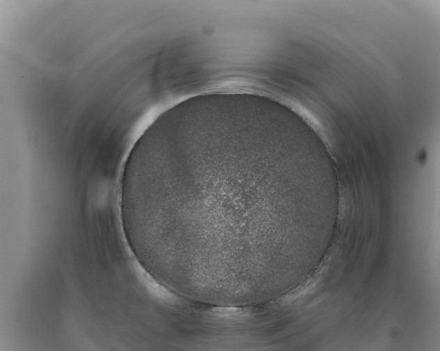 X0000090721478200707271142