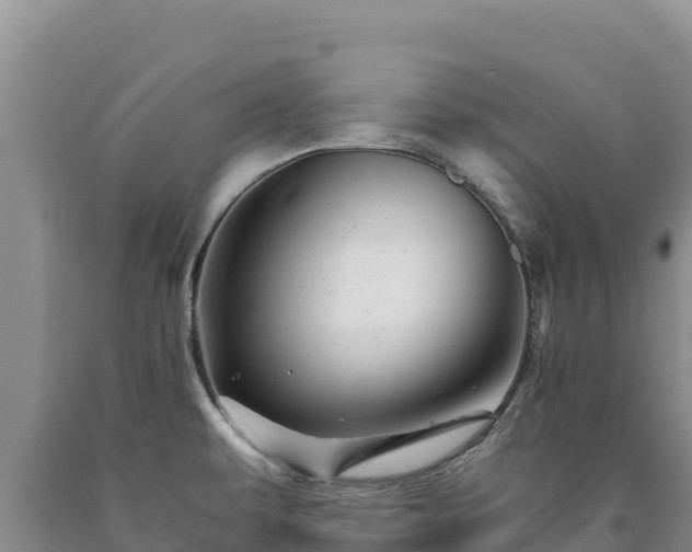X0000090721479200707271142