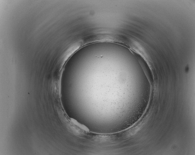 X0000090721481200707271142