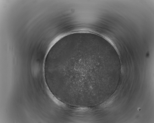 X0000090721482200707271142