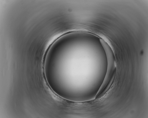 X0000090721485200707271142