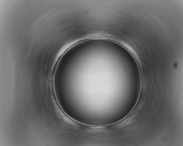 X0000090721486200707271142