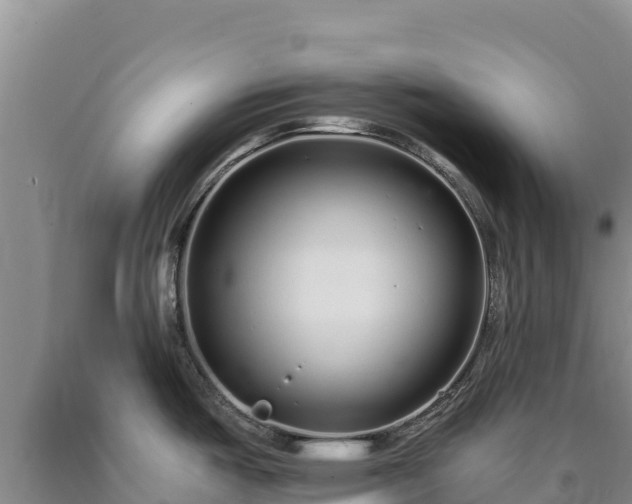 X0000090721487200707271142
