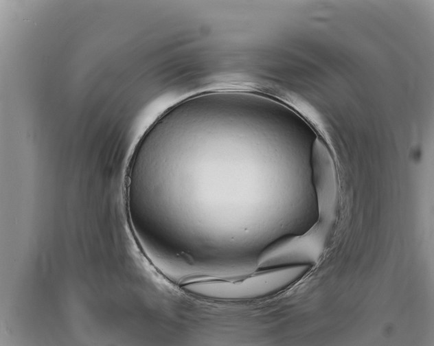 X0000090721488200707271142