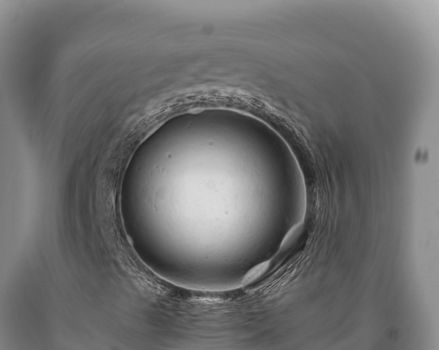 X0000090721489200707271141