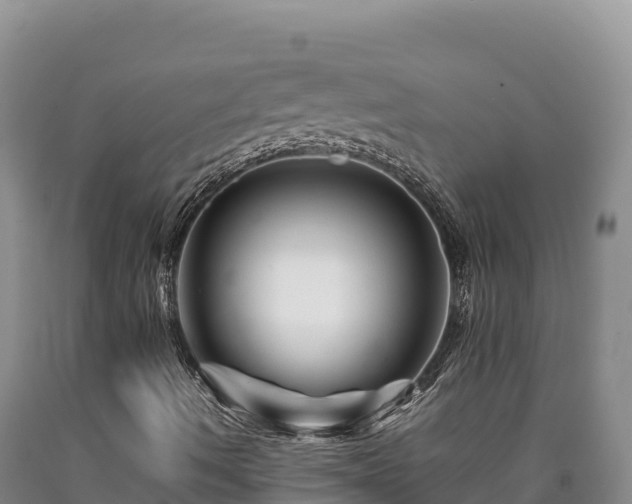 X0000090721490200707271141