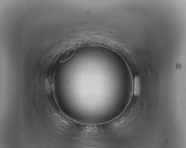 X0000090721491200707271141