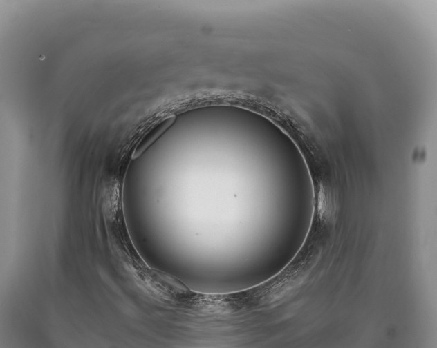 X0000090721492200707271141