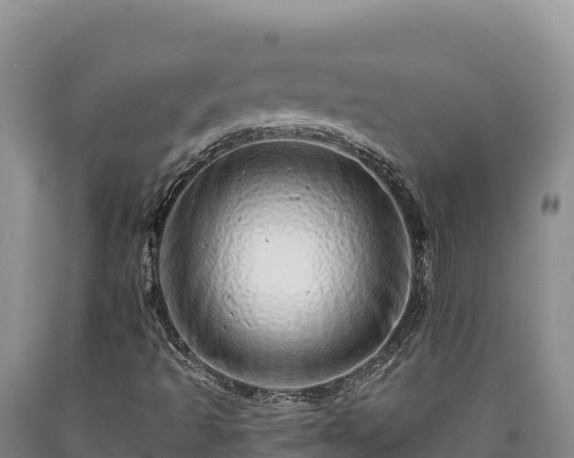 X0000090721493200707271141