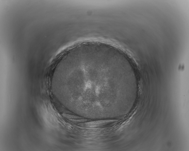 X0000090721494200707271141