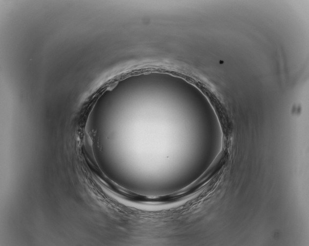 X0000090721496200707271141