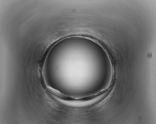 X0000090721497200707271141