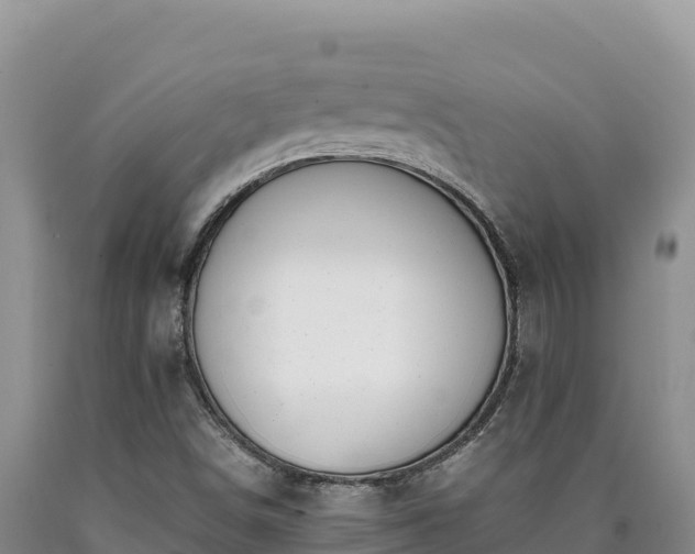 X0000090721498200707271141