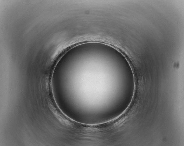X0000090721499200707271141