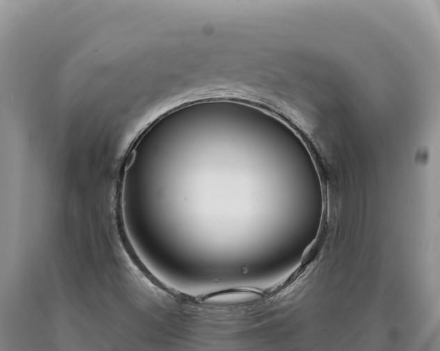 X0000090721500200707271141