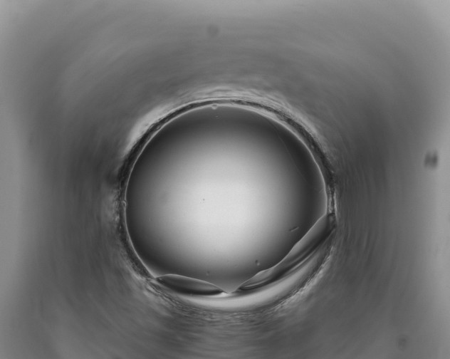 X0000090721501200707271141