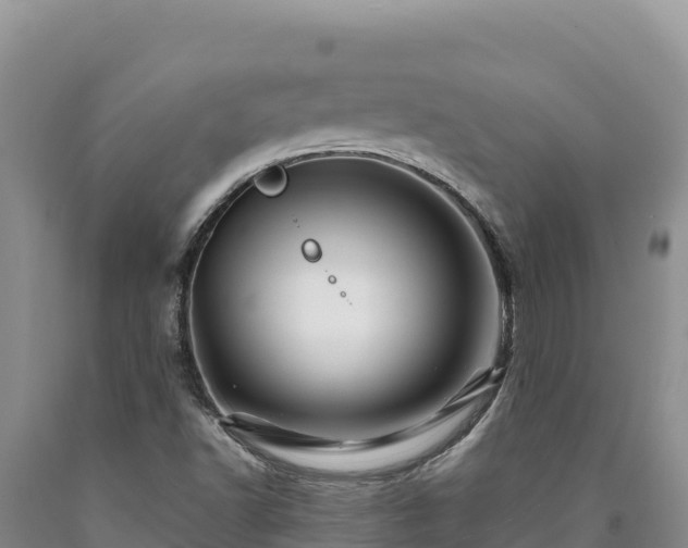X0000090721502200707271141
