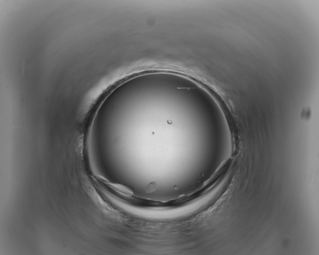 X0000090721503200707271141